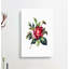 Red Rose Illustration - Wrapped Canvas-55330544