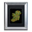« ireland city text map », impression encadrée-17770793-69312525-69312528