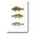 " Freshwater Fish I "-2143478349