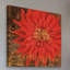« floral frenzy red iii » par alan hopfensperger, reproduction d’art sur toile tendue-15853986
