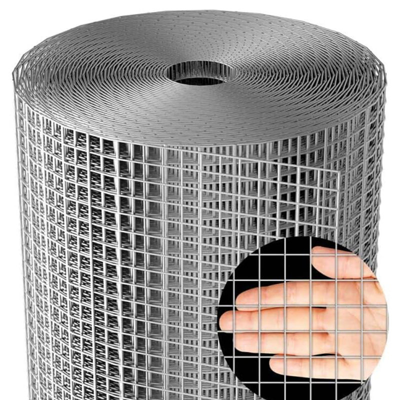 Galvanized Metal Chicken Wire Mesh Roll for Fencing