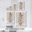 Toile tendue monochrome I-Premium Gallery-108966426