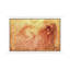 Sketch Of A Roaring Lion by Leonardo Da Vinci - Painting on Canvas-89235133-42154450