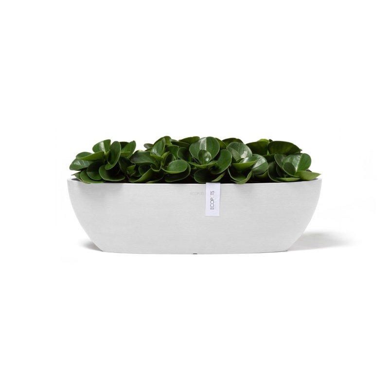 Jardinières en pot, Blanc pur