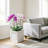 Lightweight Mgo Small Faux-stone Planter-173525834