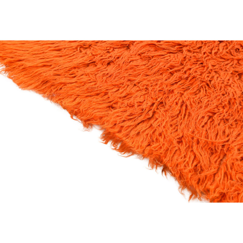 5x8 Phillippi Orange Rug