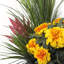 Marigold Medows en pot