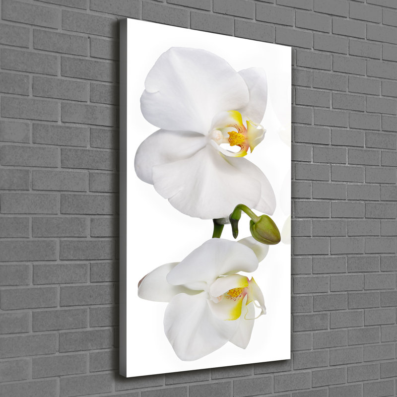 White Orchid - Wrapped Canvas Print