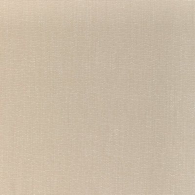 Carnot Plain