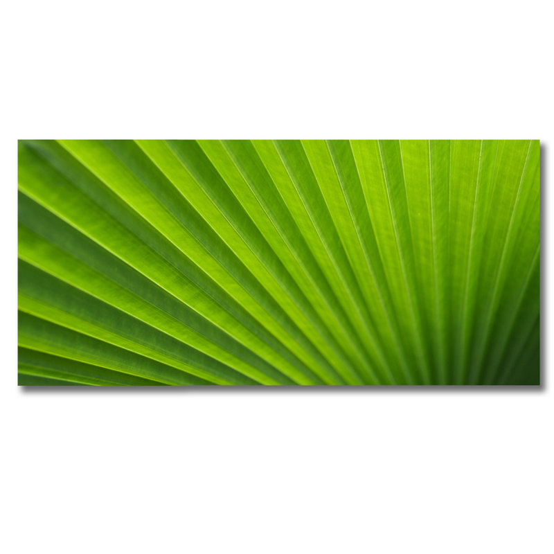 Green Palm! Print, 36" H x 84" W x 1" D, Acrylic