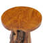 Alfret Solid Wood Solid Coffee Table