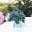 Arrangement floral marguerite dans un vase-1620004188
