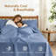 Ensemble de draps 100% coton 250 TC Percale-123272609-123272606