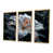 Toile avec cadre flottant or