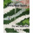 Geismar Non-Slip Bath Mat-1169459802