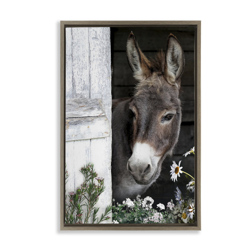 Cadre flottant doux Donkey Peering de Barn Design, conçu par CAD Designs, H 31 po x l 21 po, Montalcino orme flottant encadré