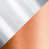 Stainless Steel/Copper