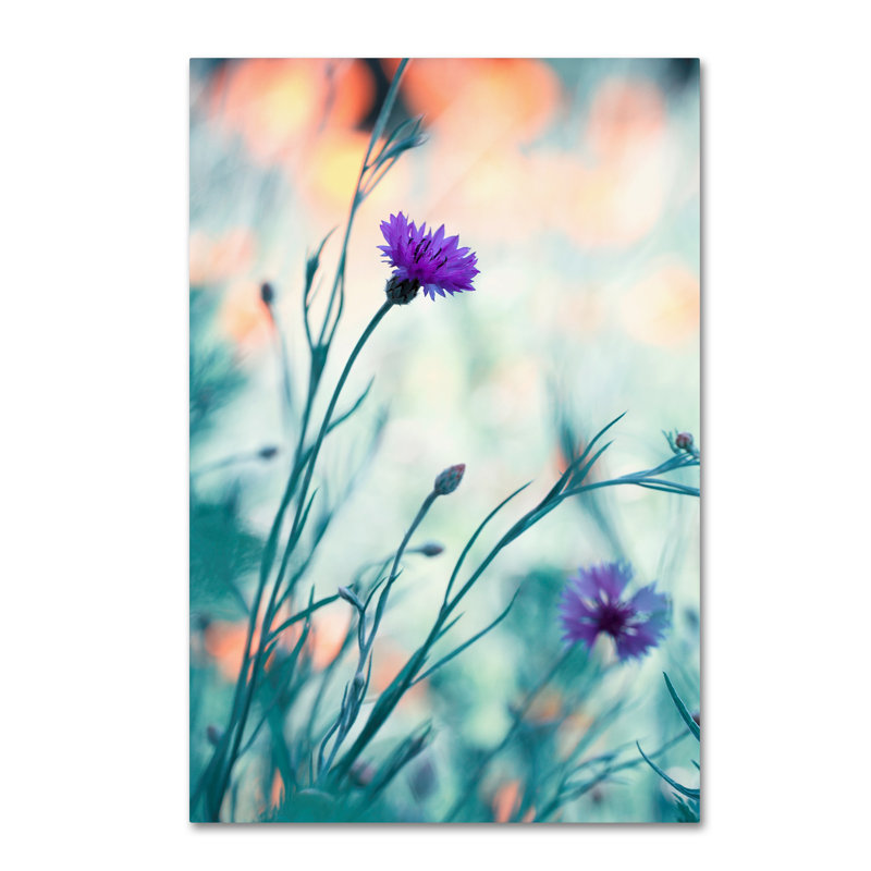 « colores game game 2 », reproduction de photo sur toile tendue, H 19 po x l 12 po