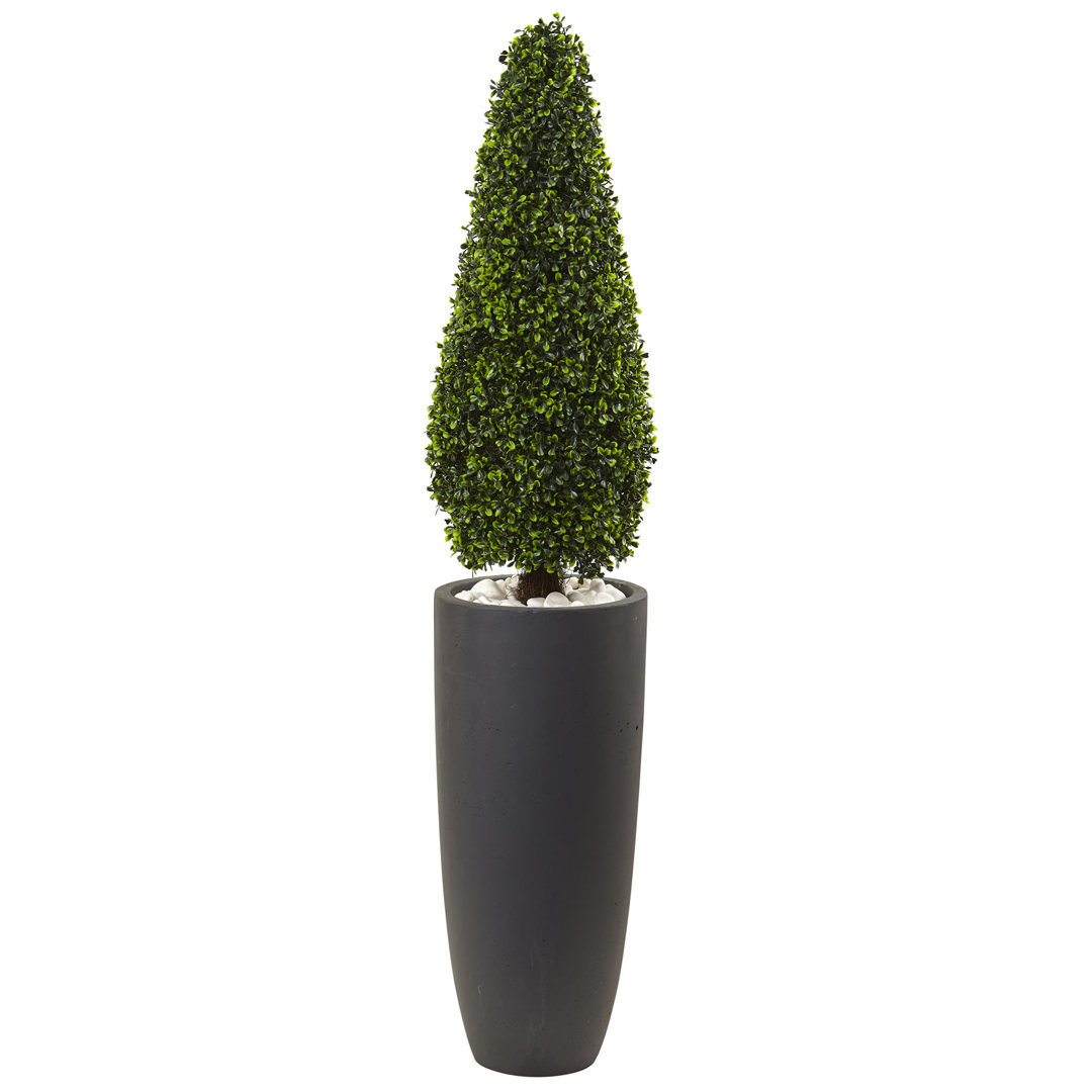 50in. Boxwood Topiary with Gray Cylindrical Planter UV Resistant (Indoor/Outdoor) Charlton Home®