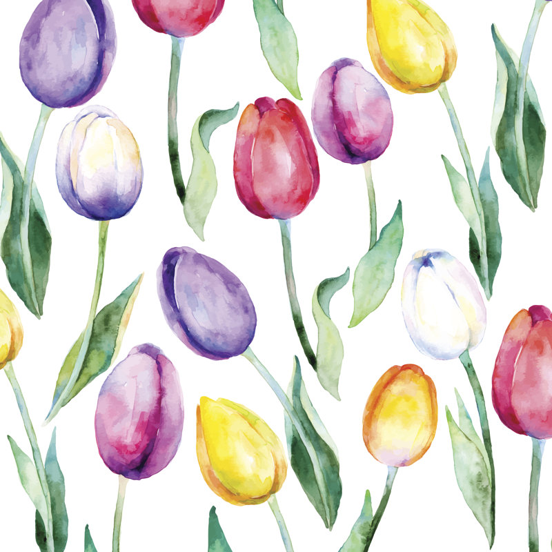 Thornell Flower Tulips over White 1 Piece Wrapped Canvas Wall Art, 30cm H x 30cm W x 3.8cm D