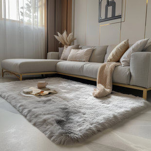Indoor Rug