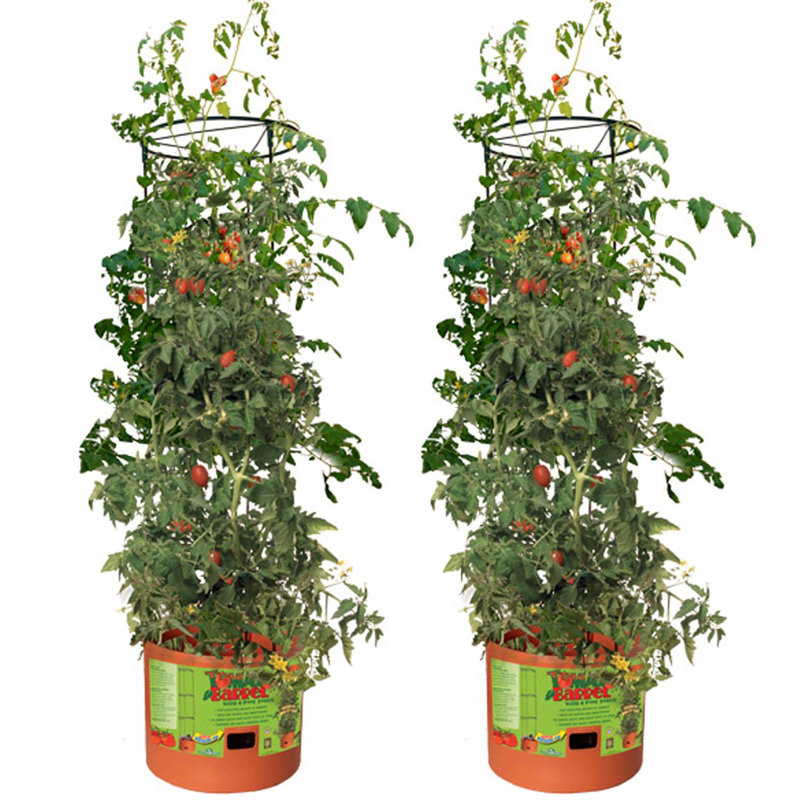 Accessoire décoratif de jardin en treillis pour pot de fleurs Hydrofarm GCTB