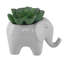 Ensemble de 3 plantes grasses artificielles dans un vase
