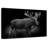 Brampt Monochromatic Bull Moose-107676765