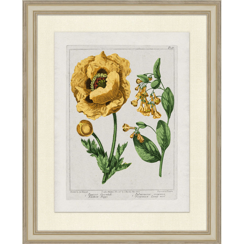 Sundance floral 1