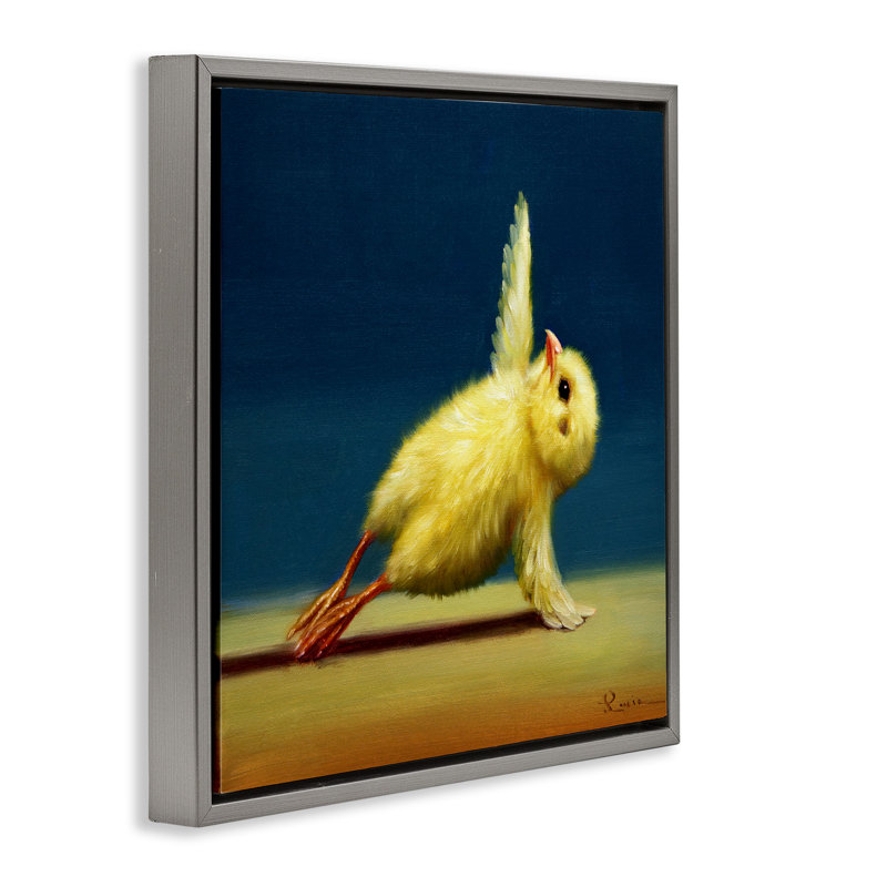 Poussin jaune qui s'étend du yoga, Cadre flottant gris lustré, H 25 po x l 25 po