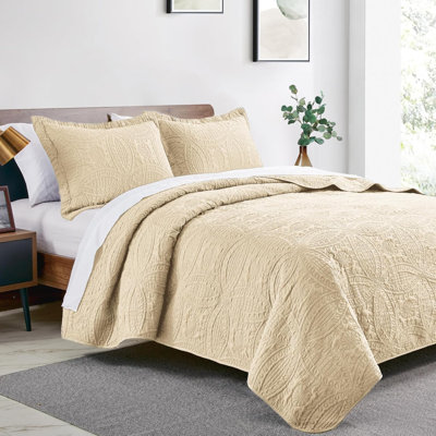 Courtepointe pour grand lit, couvre-lits brun clair, édredon léger et doux pour lit d'automne, couvre-lit à motif de pièces de monnaie de style moderne pour toutes les saisons, 3 pièces (1 courtepointe, 2 taies décoratives)