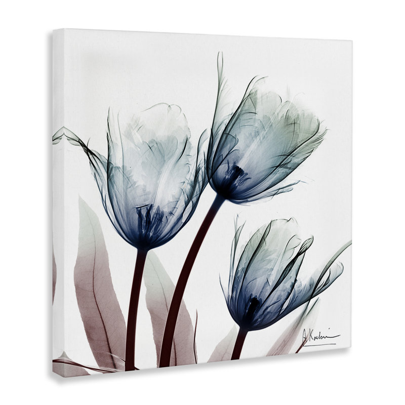 Toile translucide avec ampoules de tulipes, design par Albert Koetsier, H 36 po x l 36 po