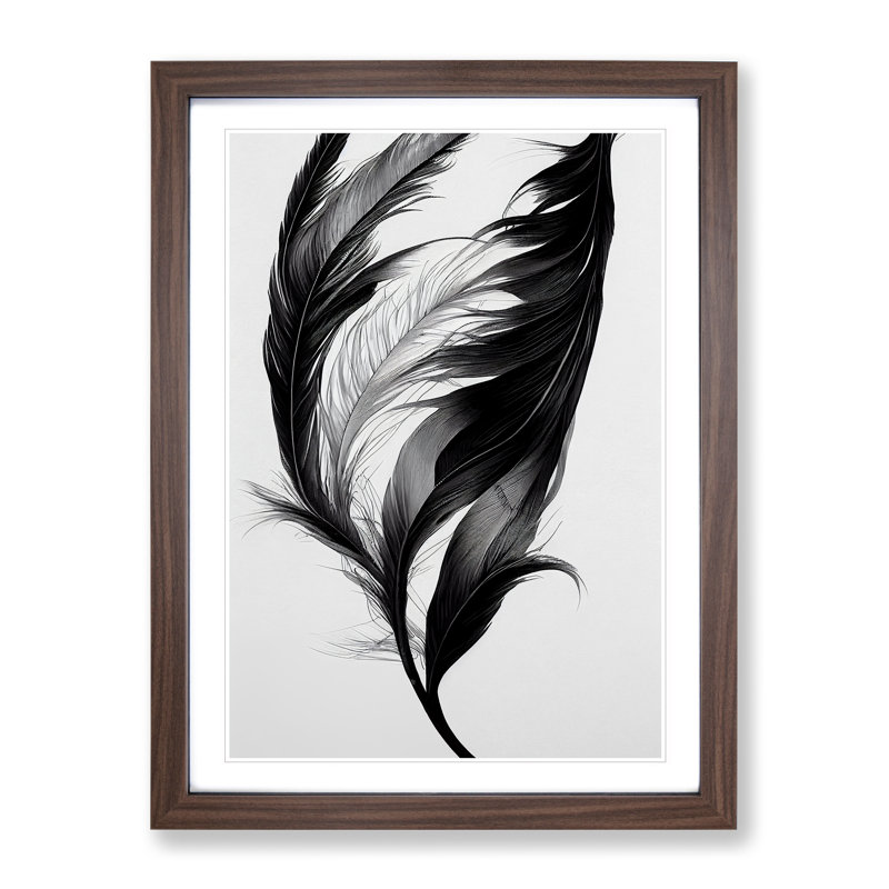 Wistful Feather - Wall Art, 64cm H x 46cm W, Walnut Framed