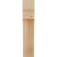 Sapin Douglas, l 4 po x P 8 po x H 20 po-1347682776-1347682749-1347682751