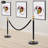 Stanchion Posts, Crowd Control Barriers, Stanchion Post With Ball Top