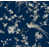 Bleu sélectionné
