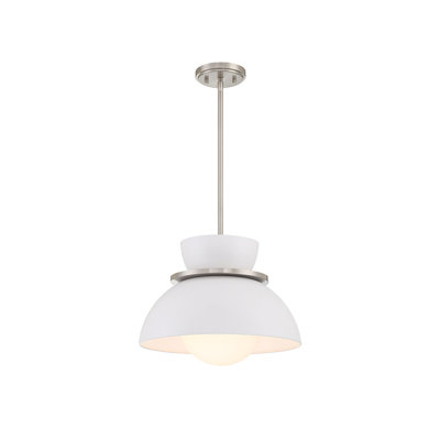 Zoja Single Light Glass Dimmable Pendant
