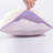 100% Cotton Standard - Set of 2-134879522-134879532