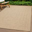Dostie Area Rug-1909131739
