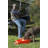 Pet Bowl-69725626