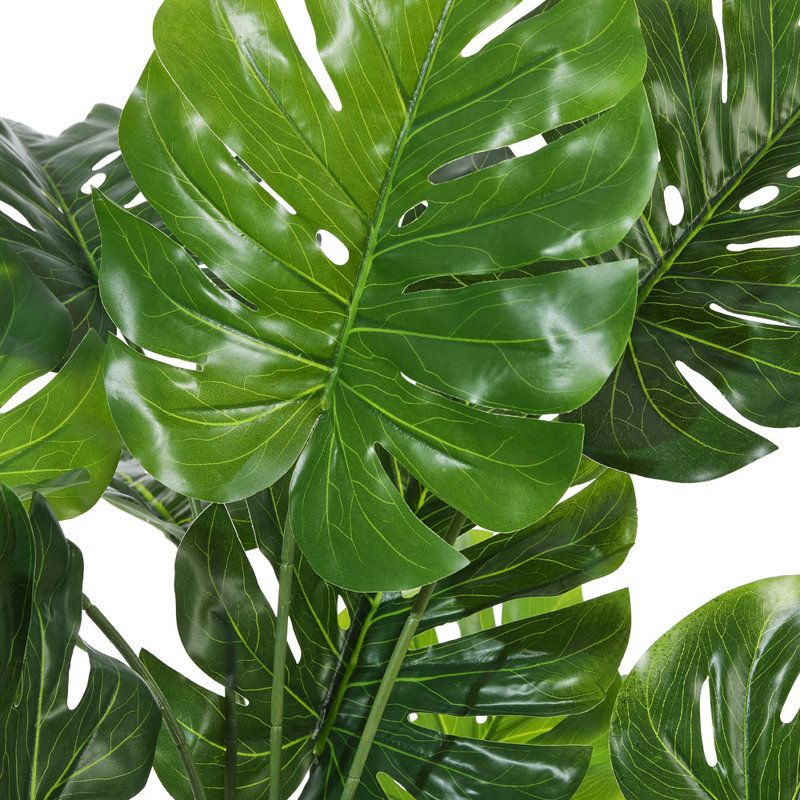 Faux Plant in Nursery Pot, 120cm H x 55cm W x 55cm D