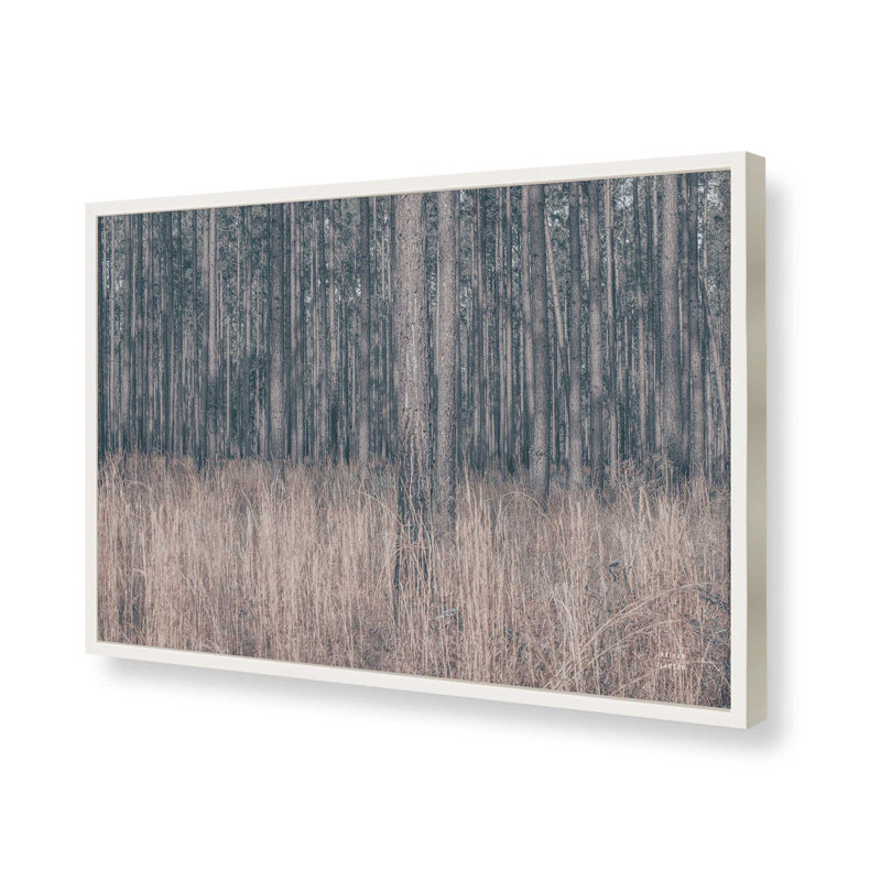 «Stitched» par Nathan Larson, reproduction d'art, H 8 po x l 12 po, Blanc