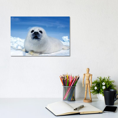 " A Young Harp Seal Laying On An Ice Floe, Canada II " by VWPics