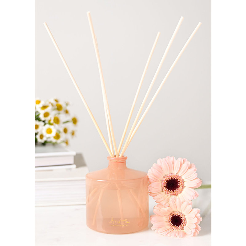 Reed Diffusers And Sticks, Fresh/Plant/Floral, Orange