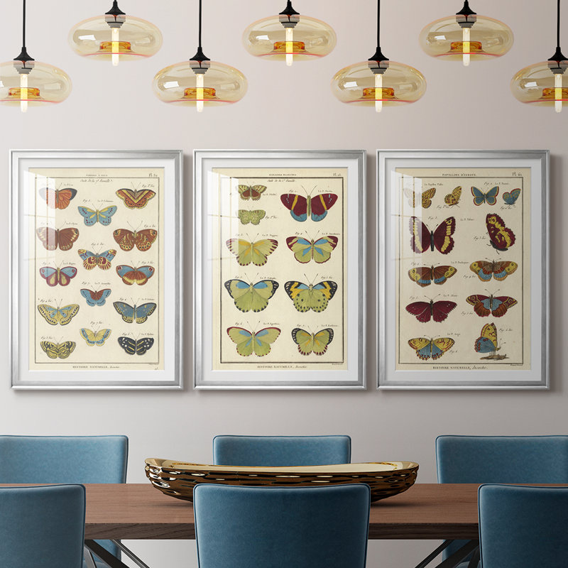 Histoire Naturelle Butterflies I - Impression personnalisée de qualité supérieure avec passe-partout - 3 pièces