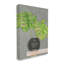 Nature morte verte avec paire de palmiers Monstera par Jennifer Goldberger-62844368-62844371