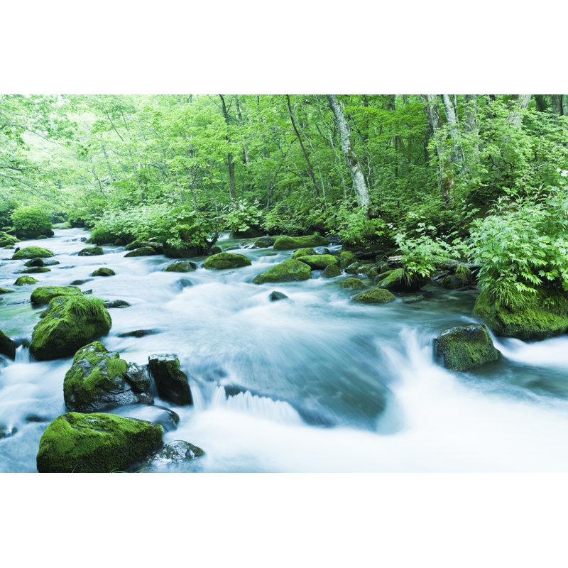 Mountain Stream by Ooyoo - Wrapped Canvas Print, 20cm H x 30cm W x 3.8cm D