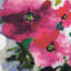 Tresco Fabric
