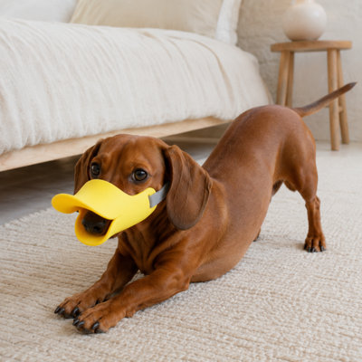 Muselière ajustable en silicone pour chien avec sangle de tête sécurisée