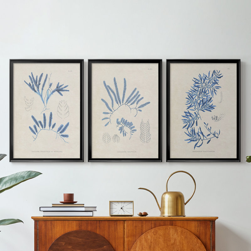 Blue Blue Algae I - Toile tendue avec châssis sur mesure - 3 pièces, Noir, H 21 po x l 30 po